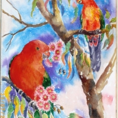 King-Parrots.
