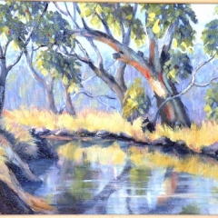 Macquarie River 1