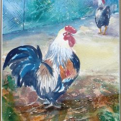 rooster rivalry watercolour yvonne west